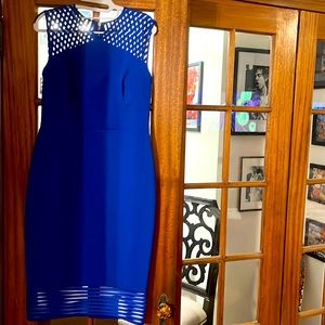 ❤️ TED BAKER 3. ❤️ USA 8 ❤️ Worn ONCE & Dry Cleaned. ❤️ Royal Blue PERFECTION